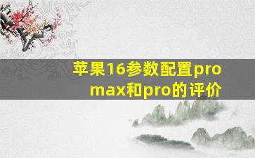 苹果16参数配置pro max和pro的评价